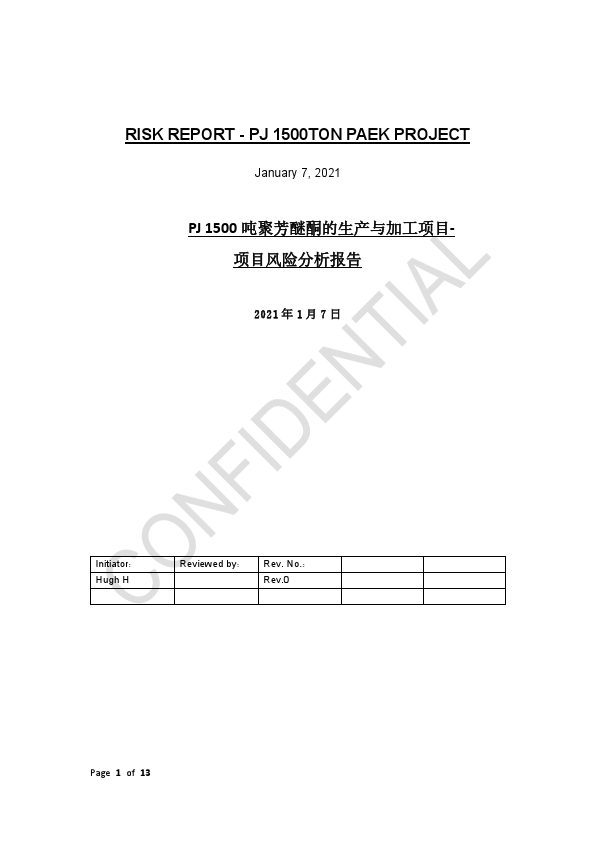 RISK REPORT,PJ PROJ., JAN. 7,21,HUGH H.pdf