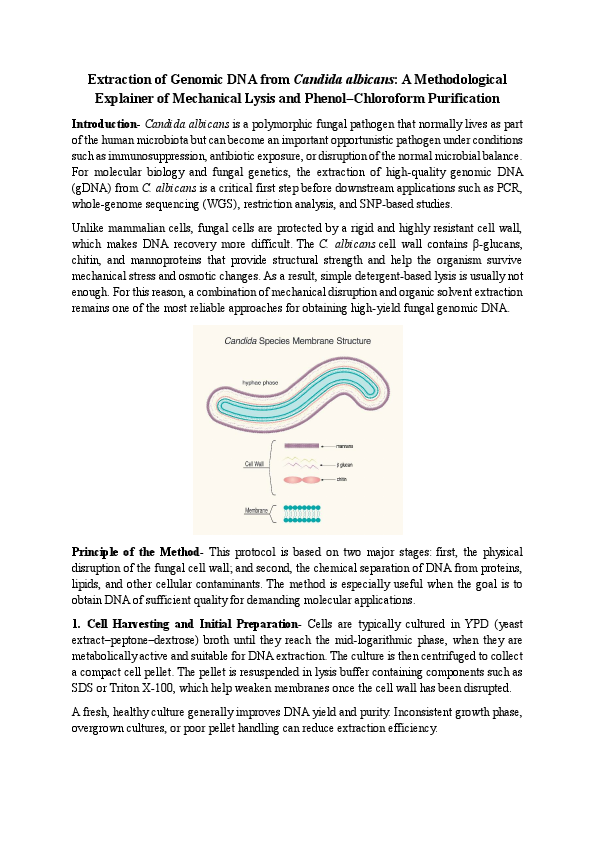 Methodology- Extraction of Genomic DNA from Candida albicans.pdf