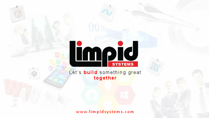 Company Profile_Limpid Systems.pdf