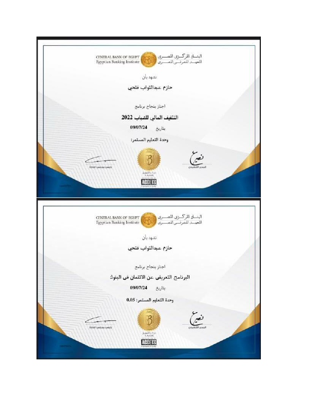 HAZEM ABDELTAWAB pdf.pdf