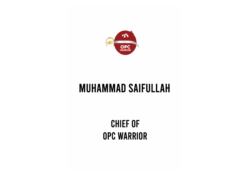 my portfolio non updated.pdf