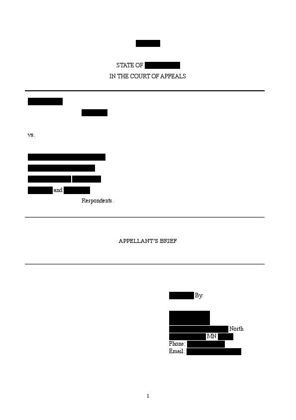14_Harriet Lewis Appellant_s Brief (A25-1205) (1).pdf