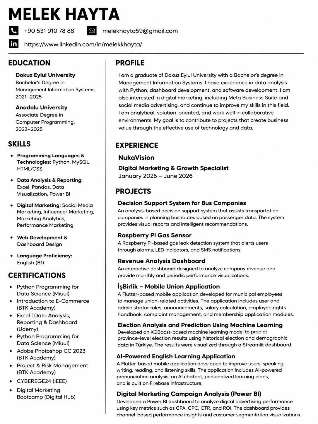 cv_english.pdf
