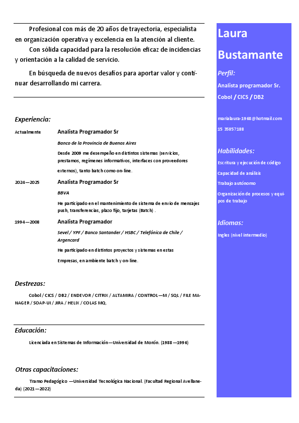 curriculum sistemas.pdf
