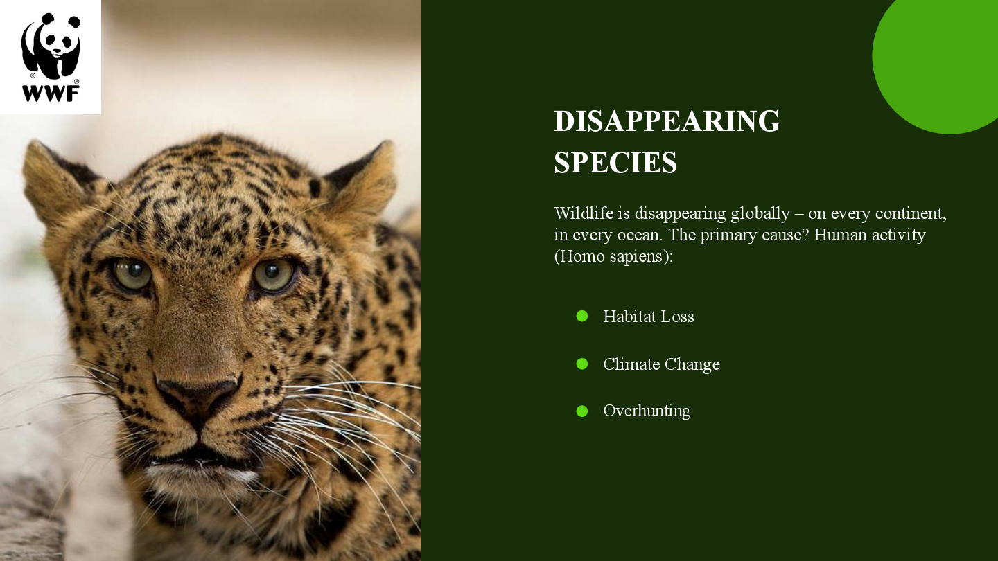 presentation slides.pdf