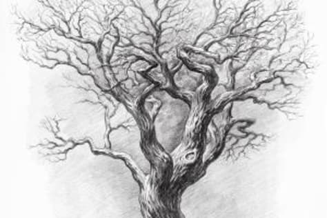 Tree. 2018. Drawing by Ruslan Vigovsky