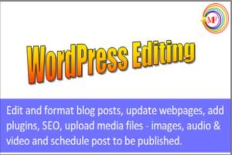 WordPress Editing