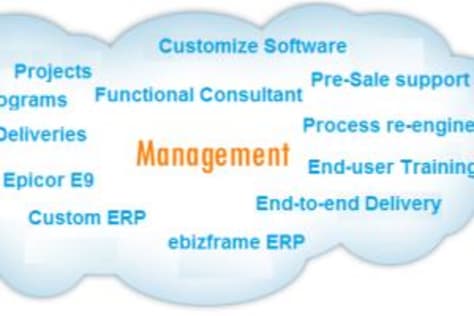 Epicor ERP E9/10 Consultancy