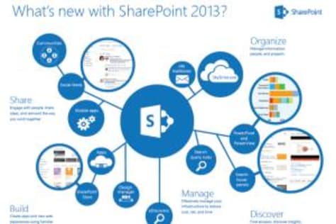 Share Point Development