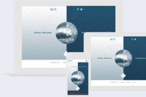 bitX - Wordpress website