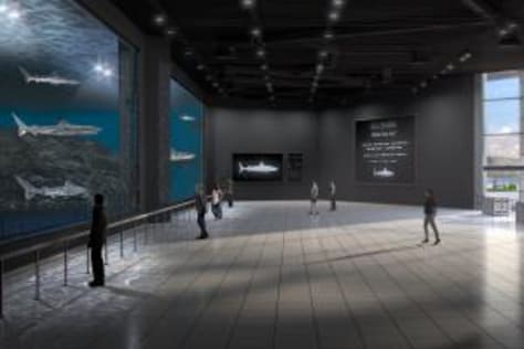 3d interior rendering of the Public Aquariom