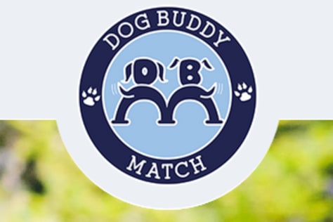 Dog Buddy Match