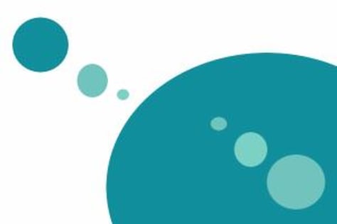 Capability Statement