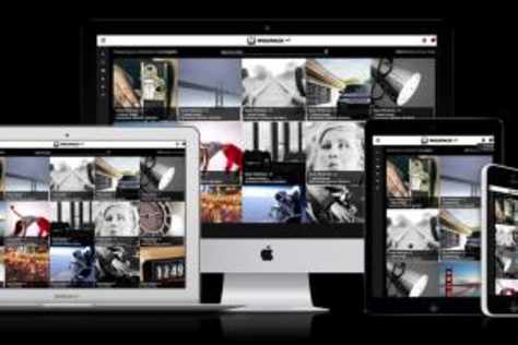 website development(Wolf pack)