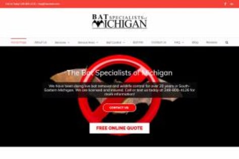 Wordpress Theme Development