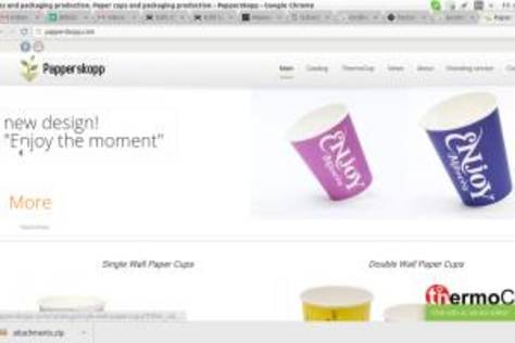 Ecommerce Content Writing for papperskopp.com