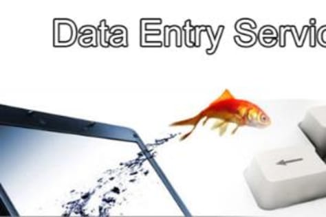 Data Entry