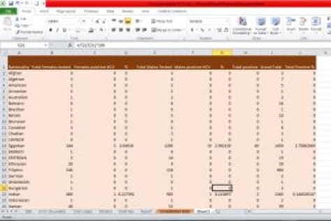 Data Management and Report Generation in Excel
