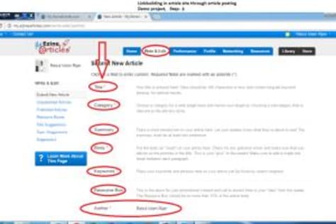 Linkbuildin With Article Posting- Demo Project