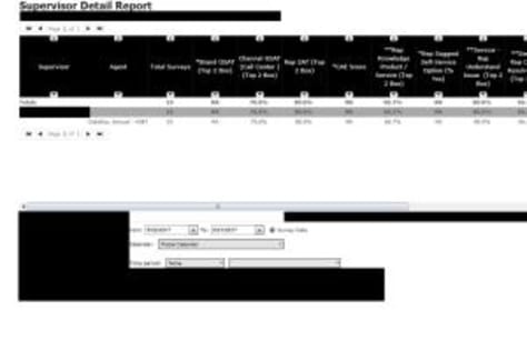 MONTHLY  PERFORMANCE REPORT