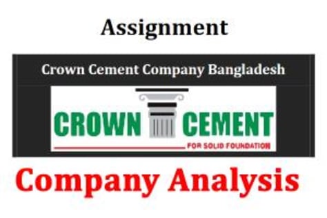 Assignment Company Analysis