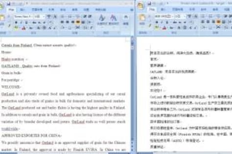 English-Chinese translation for a Finnish client