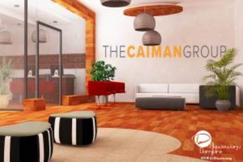 The Caiman Group Project