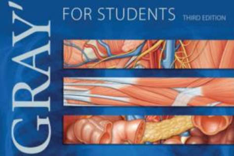 Translation of Medical contents