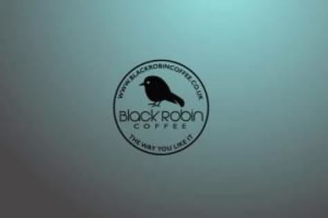 Black Robin Logo Animation