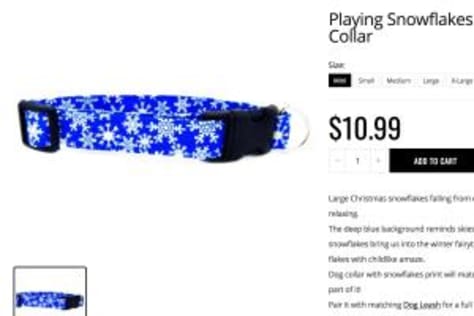 Sample: Short Product Description