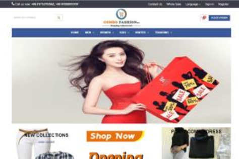 Ecommerce Websites