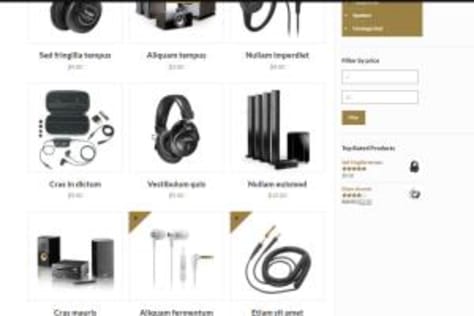 Ecommerce WordPress Design