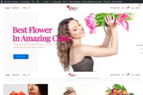 I can help you build a professional WordPress website,