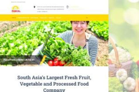 Envartis Website Development