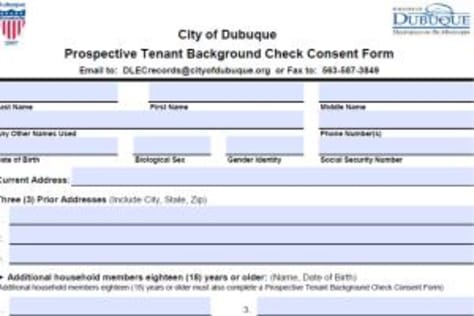 PDF Fillable Form