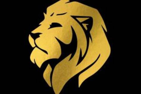 Logo animation