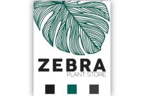 Zebra Plant Store Logo Design