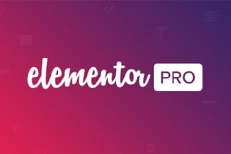 Elementor Pro Development