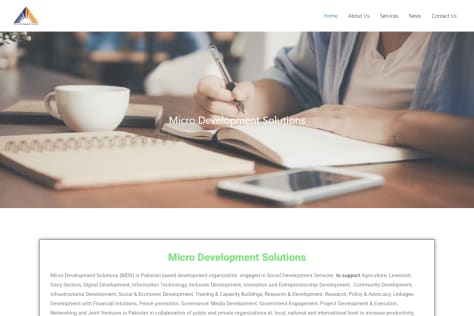 Professional Service Website developer work