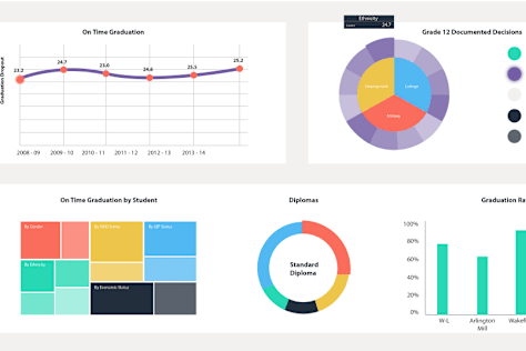 Data Visualization(React/Python/D3)