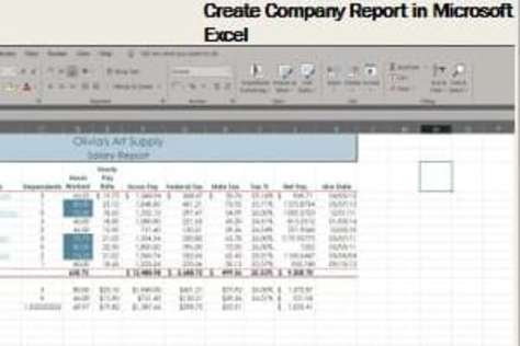 Creating Company Report
