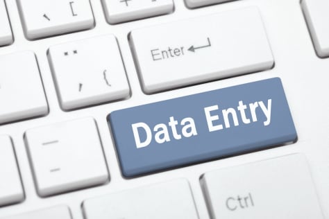 Data Entry Export in PDF