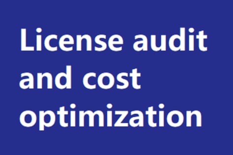 License audit and cost optimization