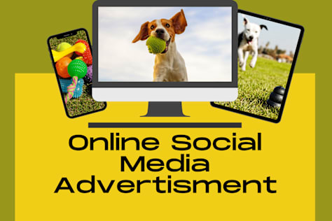 Facebook Ads Campaign