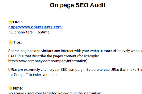 Website Audit Report