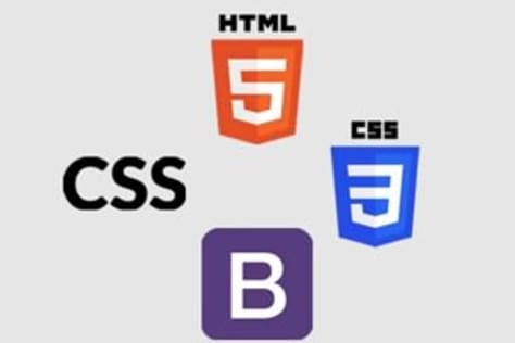 Website Design Expert