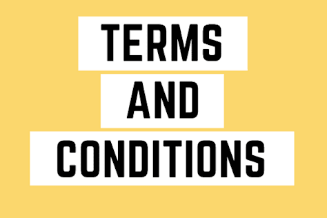 Terms and Condition for one of my USA Client