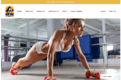 Fully Functional Shopify E-Commerce Stores