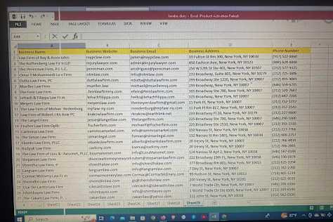 Data entry professional \u0026 b2b lead