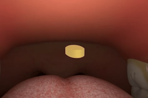 360 digestive system tour